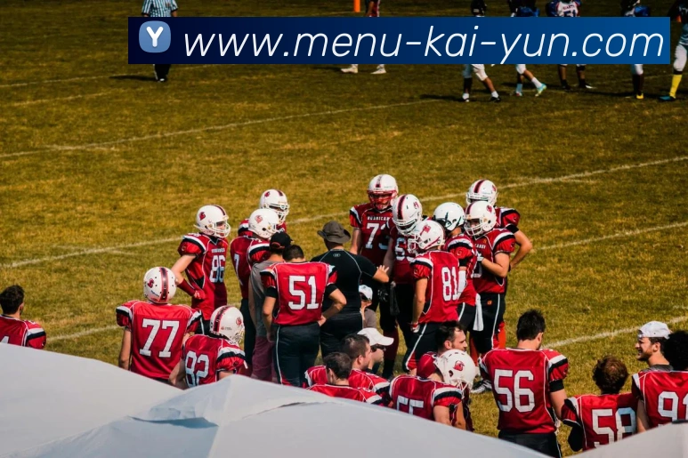 开云平台生态图